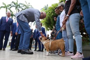 Ley de Trato Digno Animales de Compañía