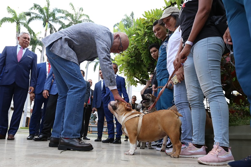 Ley de Trato Digno Animales de Compañía