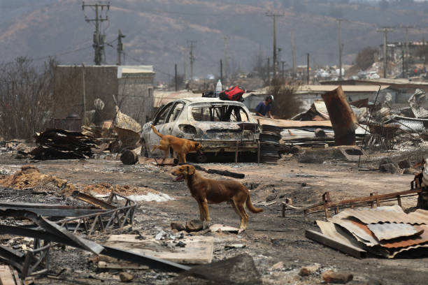 Incendios forestales en Chile