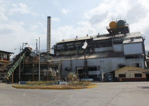 Cañicultores de Sucre