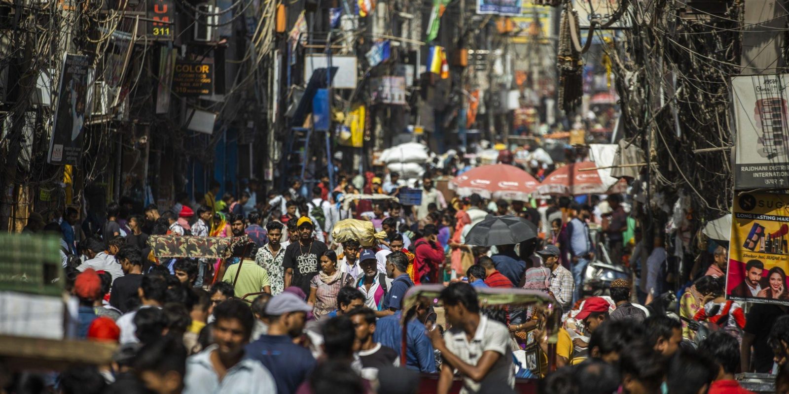 Población mundial supera los 8.000 millones de habitantes