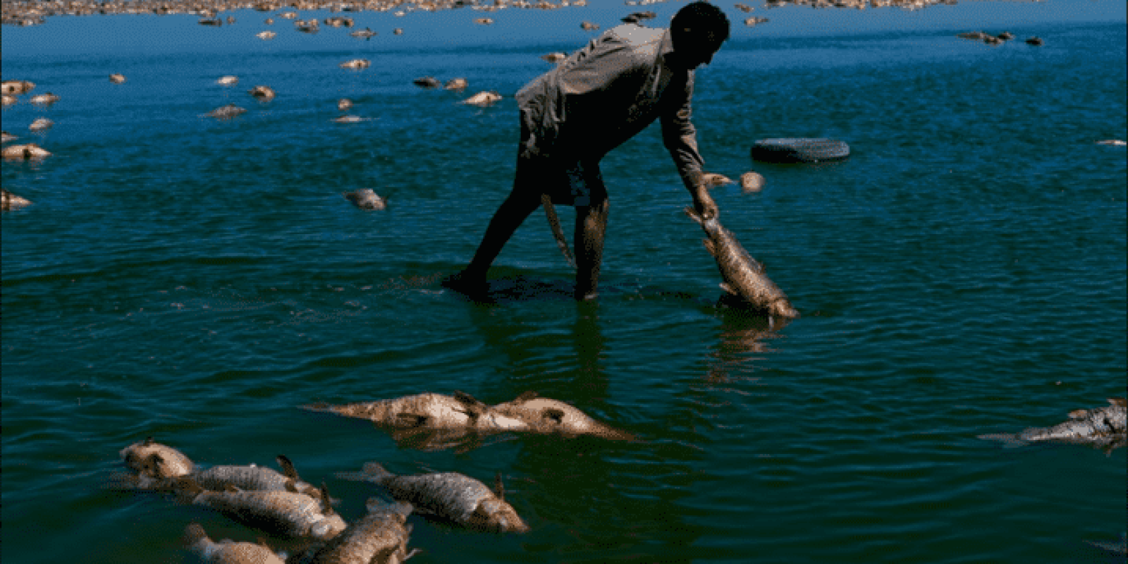 Alertan sobre escasez de agua en América Latina
