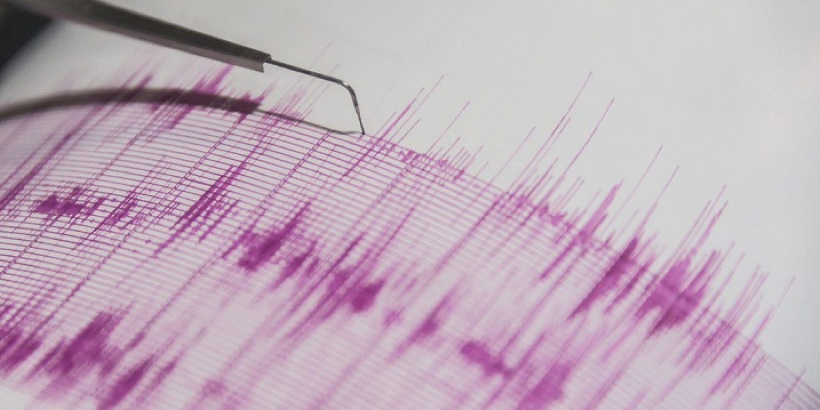 Foto: Referencia / Getty Images